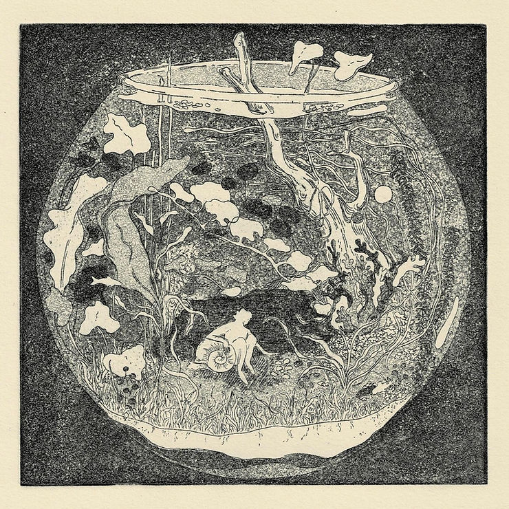 Protected: i want to live in your&nbsp;fishbowl